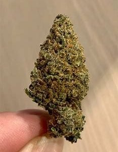 Buy Gelato Strain Online Australia